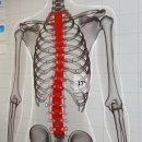 청담파크의원 | 강남 한의원 거북목 추나치료 솔직후기 | 삼성중앙역의원 체형교정 추천