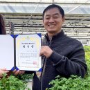 네잎클로버 이미지