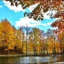 어느, 오후엔 이미지