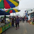 의리농장 이미지