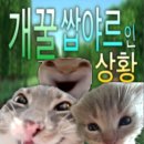 평광커피 | 목포 평화광장 카페 추천 | 카페인평광 버터떡 후기, 21시 할인 꿀팁까지