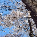 레고랜드길 L 이미지