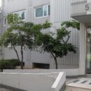 조흥로즈빌아파트 이미지