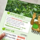 유라농장 이미지