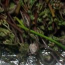 부부회관 이미지