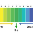 엘엔비헤어