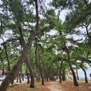 송정해변길 이미지