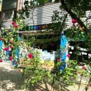 숲속 향기 작은도서관 이미지