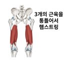마일스톤필라테스PT스튜디오