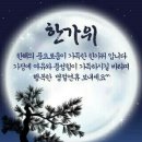 똘대의 주관적인 첫벙 후기~ 이미지