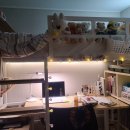 궁전노래사랑