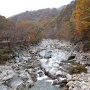 뱀사골민박 이미지