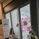 비비나인 | 하남퍼스널컬러 엠피컬러 진단 후기 여름 쿨톤 라이트 체험