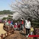 금호동 장미연립아파트 이미지