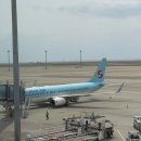 742 | 나고야 대한항공 KE 742 좌석 기내식 난기류 못 먹을뻔한 후기