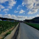 옥동리마을회관 이미지