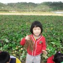 효동농장 이미지