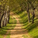 산책길-1 이미지