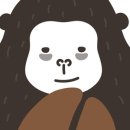 미스터콩 이미지