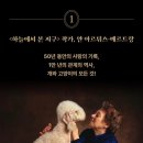 캣츠앤독스 이미지