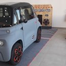 아미(ami) 이미지