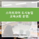 괴정2동-4 이미지