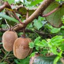 (주)에이원건설 이미지