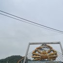 동광투어 | 대전 여성의 영덕여행 영덕 강구항 동광어시장 '자매식당 대게' 시세 비교 내돈내산 후기