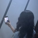 빠쁘빠뿌행복이시작되는 이미지