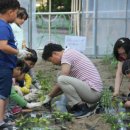 임자초등학교 이미지