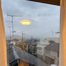 다사까 | 교토 워홀 | 미리 생일 기념 🎈오사카에 다녀오다