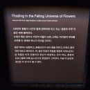 제니플래닛 | [일본 도쿄 여행] 도쿄 1일차 몰입형 전시회 '도쿄 팀랩 플래닛' 후기