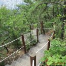 중구봉(276m) 이미지