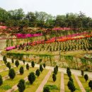 호산나목장 이미지