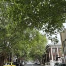 (주)하이티넘 | 호주 여행 Day 9_ 써리힐즈, 노스시드니, 타롱가주, 발모랄비치, 밀슨스포인트, 퀸빅토리아빌딩, 바 토티스