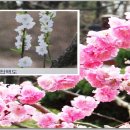 수성구민운동장 이미지