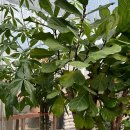 불로연합정형외과의원 이미지