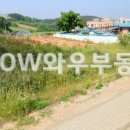 대산주유소 - 동구 | 대산주유소