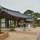 기차마을 장미공원 이미지