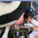 환희목장 이미지