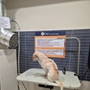 올리스24 두류공원점 이미지