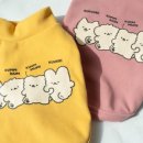 강아지봄 이미지