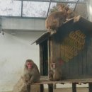 해남동물나라 이미지