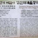 다비숲공원 티스토리