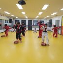 행복한 삼성태권도장 이미지