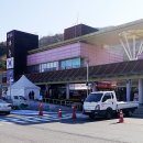 단밤,호두과자 네이버블로그