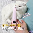 개발바닥 | 발가락 사이까지 깔끔! 바론 이지컷프로 반려동물 발바닥 바리깡 후기