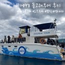 제주포인트투어 | M1971 제주돌고래투어 솔직후기 제주액티비티 추천🐬 낭만있는 요트투어