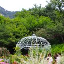 장미정원 이미지