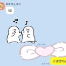 맹드라이브운전면허청주 이미지
